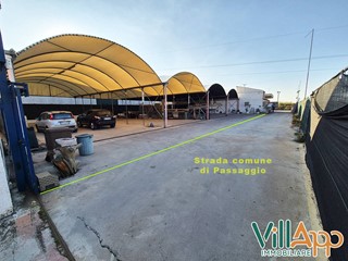 Terreno agricolo in Affitto a Fondi, 750&euro;, 850 m²