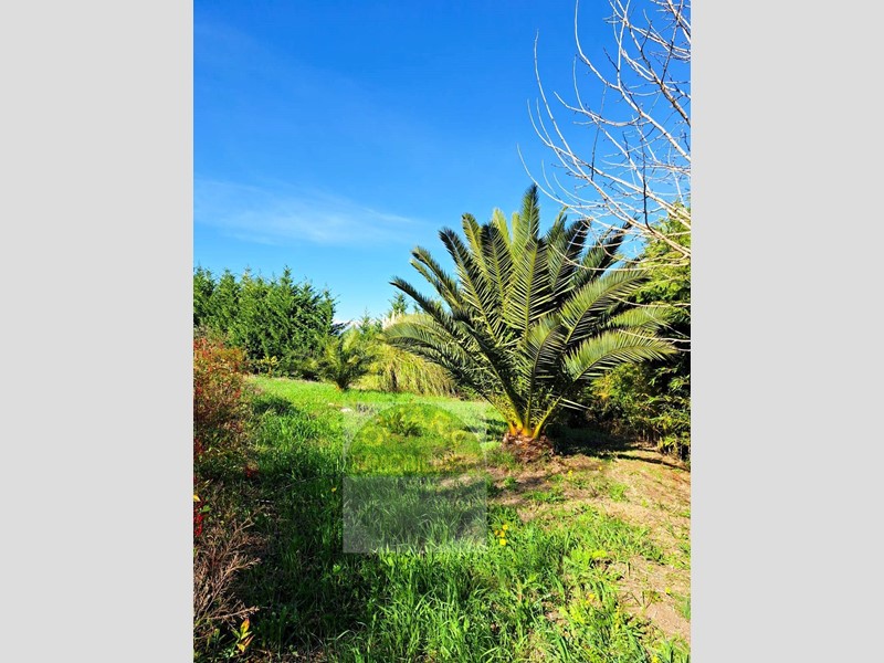 Terreno agricolo in Vendita a Cupello, 55'000&euro;, 13000 m²