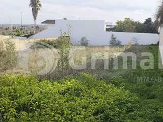 Terreno edificabile in Vendita a Collepasso, 40'000€, 700 m²