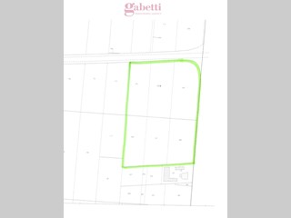 Terreno agricolo in Vendita a Candiana, 220'000&euro;, 42324 m²