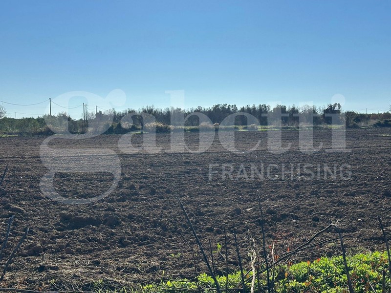 Terreno agricolo in Vendita a Ugento, 19'000&euro;, 9820 m²
