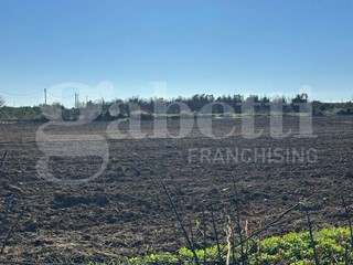 Terreno agricolo in Vendita a Ugento, 19'000&euro;, 9820 m²
