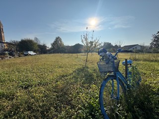 Terreno edificabile in Vendita a Montagnana, 87'000&euro;, 3900 m²