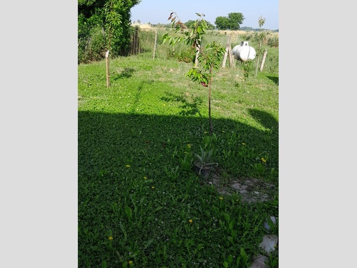 Casa Indipendente in Vendita a Frassinelle Polesine, 65'000€, 100 m²