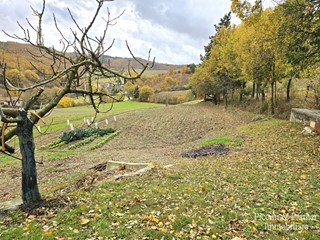 Terreno agricolo in Vendita a Gubbio, 85'000&euro;, 30000 m²