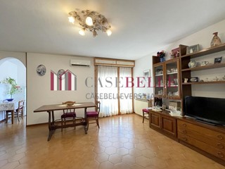 Appartamento in Vendita a Camaiore, zona Capezzano Pianore, 225'000&euro;, 100 m², con Box