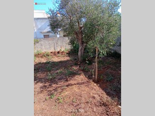 Terreno edificabile in Vendita a Cavallino, 63'000&euro;, 650 m²