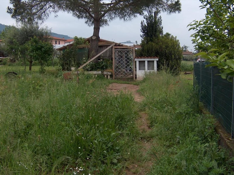 Terreno agricolo in Vendita a Massa, 40'000€, 1000 m²
