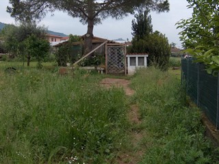 Terreno agricolo in Vendita a Massa, 40'000€, 1000 m²