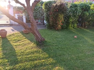 Casa Semi Indipendente in Affitto a Sarzana, 850&euro;, 70 m², arredato