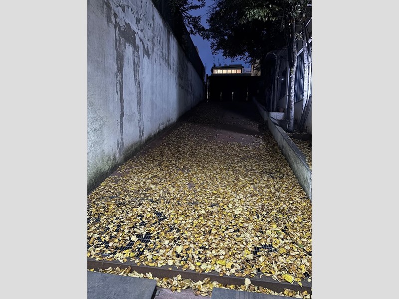 Magazzino in Affitto a Roma, 1'000€, 164 m²