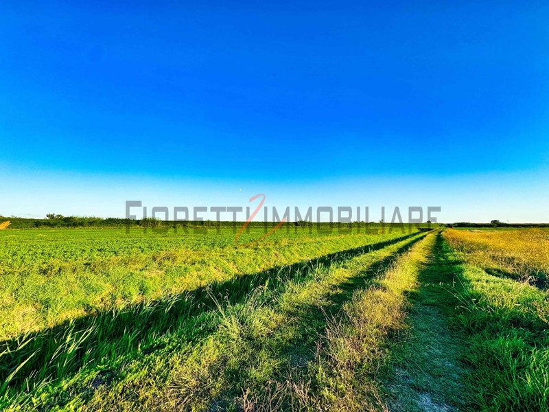 Terreno agricolo in Vendita a Castiglione della Pescaia, zona Buriano, 130'000&euro;, 83 m²