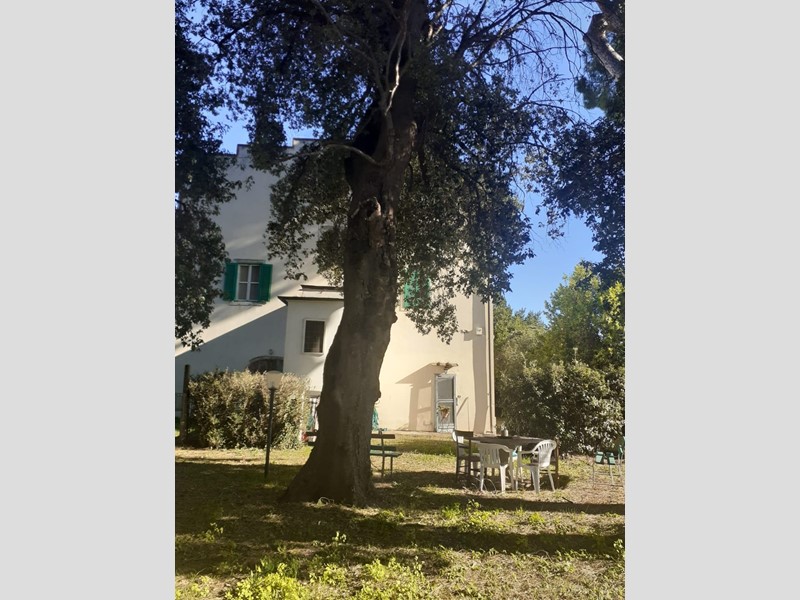 Villa in Vendita a Cecina, zona Collemezzano Alto, 749'000&euro;, 550 m², arredato