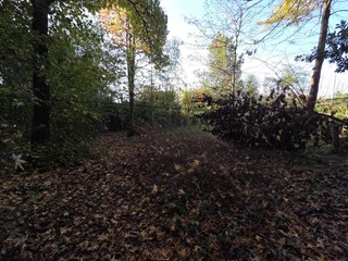 Terreno edificabile in Vendita a Capannori, zona Segromigno In Monte, 600'000&euro;, 2000 m²