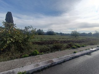 Terreno edificabile in Vendita a Monteparano, 50'000&euro;, 3500 m²