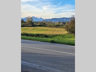 Terreno agricolo in Vendita a Capannori, zona Gragnano, 80'000&euro;, 14000 m²