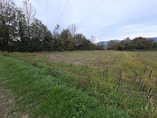 Terreno agricolo in Vendita a Capannori, zona Segromigno In Piano, 12'000&euro;, 2000 m²