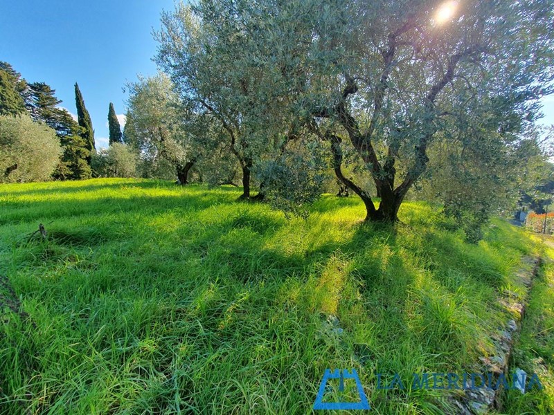 Terreno edificabile in Vendita a Lamporecchio, 99'000€, 2500 m²