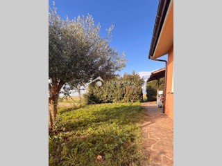 Villetta a schiera in Affitto a Pisa, zona Coltano, 1'200&euro;, 80 m², arredato