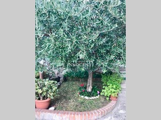 Casa Indipendente in Vendita a Massa, 188'000&euro;, 80 m²