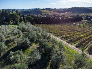 Attività commerciale in Vendita a Empoli, 1'350'000&euro;, 420 m²