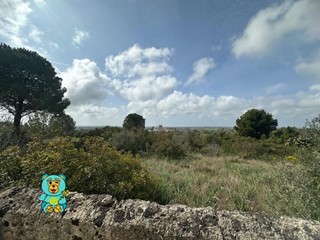 Terreno edificabile in Vendita a Parabita, 90'000€, 20000 m²