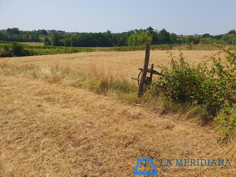 Terreno agricolo in Vendita a Lamporecchio, 90'000€, 10000 m²