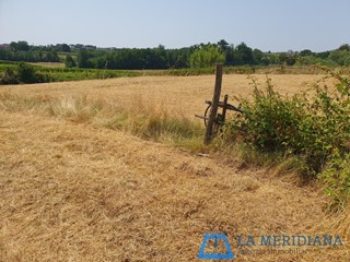 Terreno agricolo in Vendita a Lamporecchio, 90'000€, 10000 m²