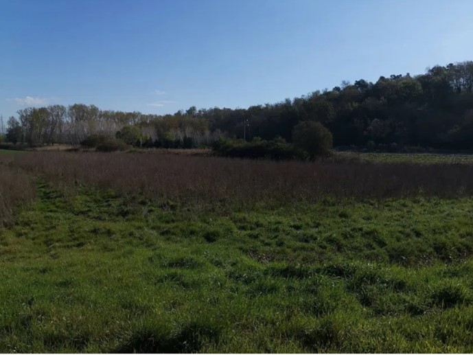 Terreno agricolo in Vendita a Bientina, zona Puntone, 18'000&euro;, 15000 m²