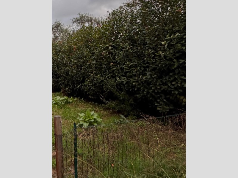 Casa Semi Indipendente in Affitto a Sarzana, 750&euro;, 78 m², arredato