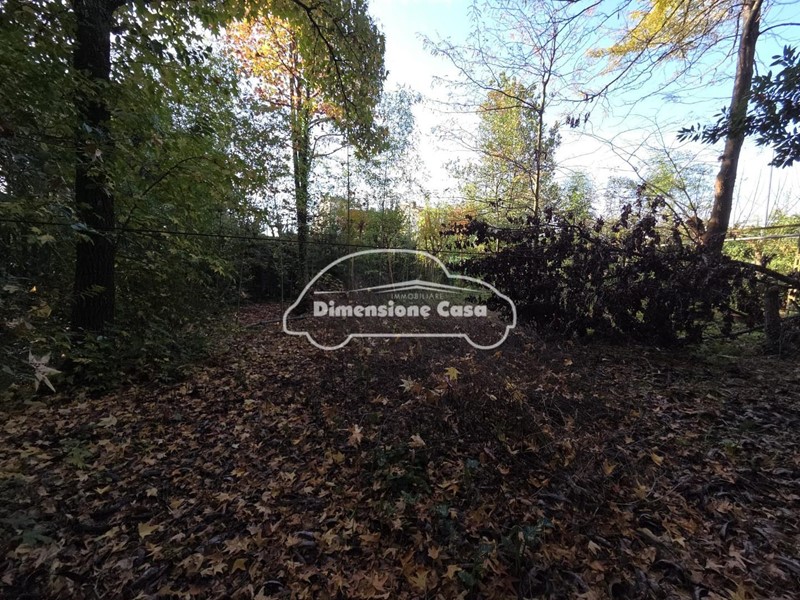 Terreno edificabile in Vendita a Capannori, zona Segromigno In Monte, 600'000&euro;, 2000 m²