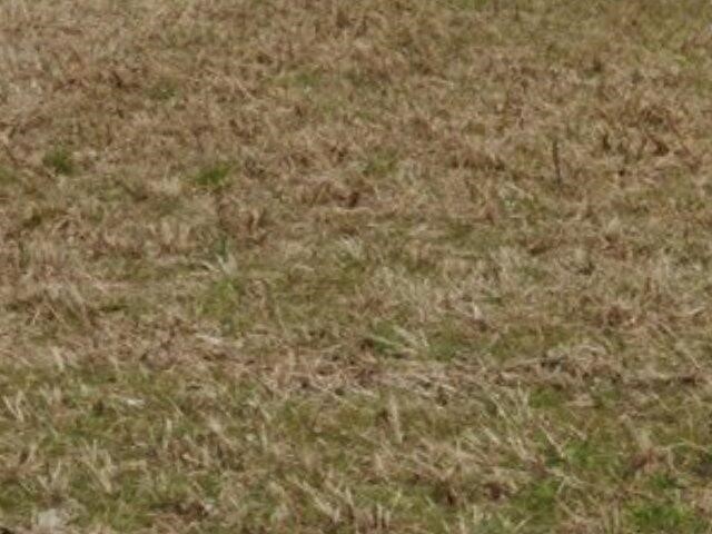 Terreno edificabile in Vendita a Casciana Terme Lari, zona Perignano, 300'000&euro;, 2020 m²