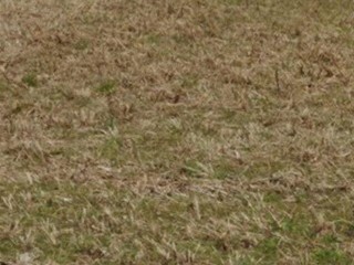 Terreno edificabile in Vendita a Casciana Terme Lari, zona Perignano, 300'000&euro;, 2020 m²