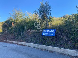 Terreno agricolo in Vendita a Santa Marinella, 28'000&euro;, 6025 m²