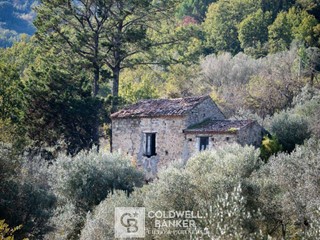 Rustico in Vendita a Omignano, 58'000&euro;, 115 m²