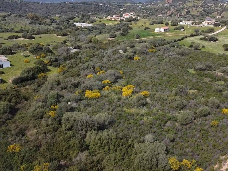 Terreno agricolo in Vendita a Golfo Aranci, 145'000&euro;, 30000 m²
