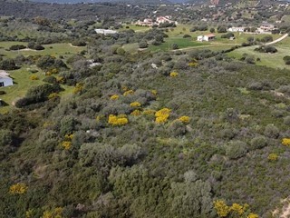 Terreno agricolo in Vendita a Golfo Aranci, 145'000&euro;, 30000 m²