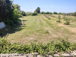 Terreno agricolo in Vendita a Uggiano la Chiesa, 47'000€, 12270 m²