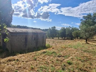 Terreno edificabile in Vendita a Capannoli, zona San Pietro In Belvedere, 62'000&euro;, 6500 m²