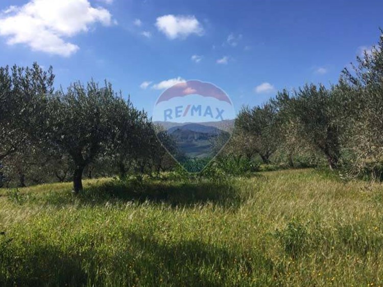 Terreno agricolo in Vendita a Marineo, 42'000€, 12899 m²