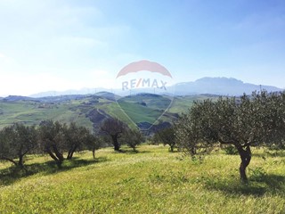 Terreno agricolo in Vendita a Marineo, 42'000€, 12899 m²