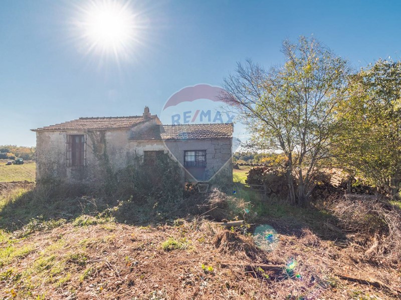 Terreno agricolo in Vendita a Ischia di Castro, 95'000&euro;, 123180 m²