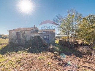 Terreno agricolo in Vendita a Ischia di Castro, 95'000&euro;, 123180 m²