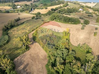 Terreno agricolo in Vendita a Terre Roveresche, 79'000&euro;, 58651 m²
