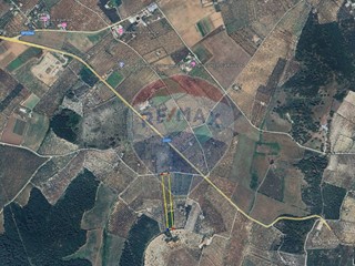 Terreno agricolo in Vendita a Vieste, 40'000&euro;, 10550 m²