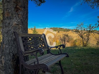 Casa Indipendente in Vendita a Senigallia, zona grottino, 400'000€, 346 m², arredato