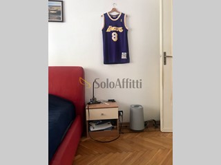 Bilocale in Affitto a Torino, zona Pozzo Strada, 460€, 45 m², arredato