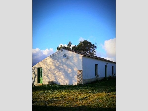 Rustico in Affitto a Tempio Pausania, zona scupetu, 350€, 120 m², arredato