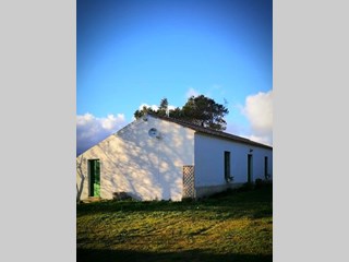 Rustico in Affitto a Tempio Pausania, zona scupetu, 350€, 120 m², arredato