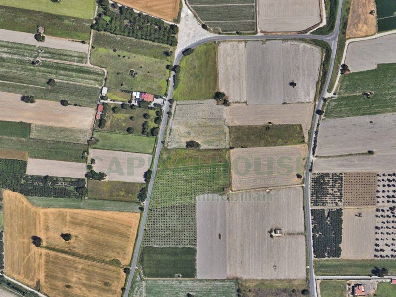 Terreno agricolo in Vendita a Marigliano, 150'000&euro;, 5000 m²